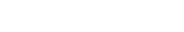 Martin Group